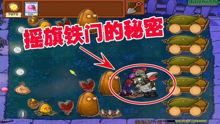 植物大战僵尸：摇旗铁门的秘密，百分之99的僵尸无法伤害它截图