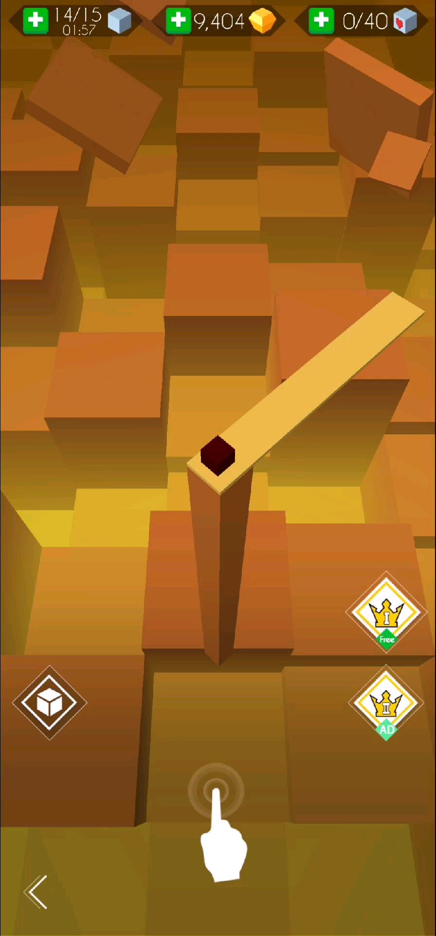 video-1355490