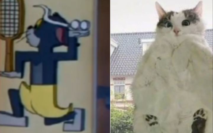 周所周知,《猫和老鼠》是一部纪录片截图