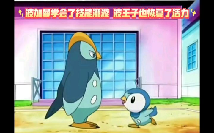 精灵宝可梦 波加曼学会了技能潮漩 波王子也恢复了活力截图