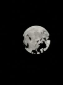 骑士49级试炼攻略！