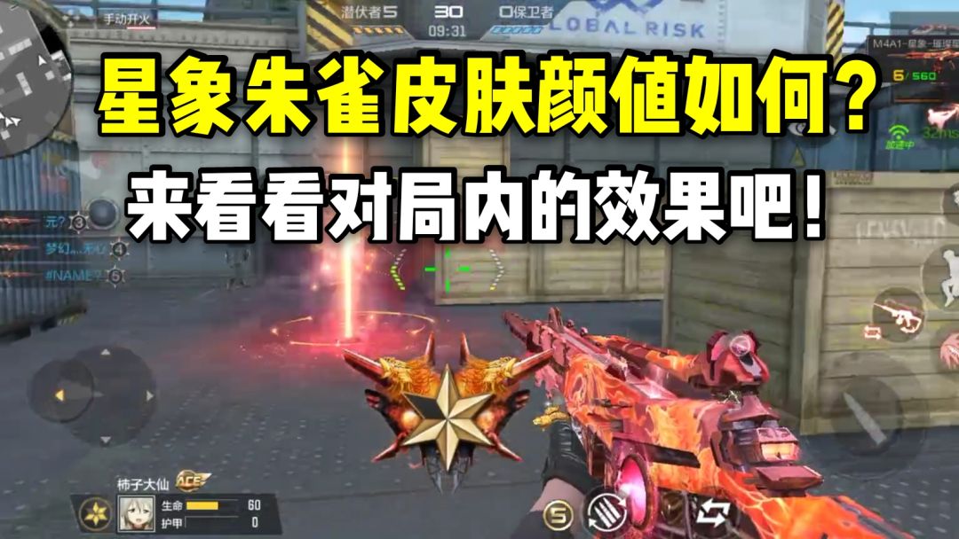 video-2958488