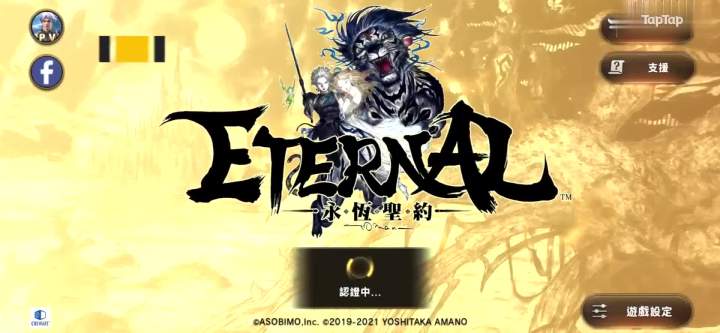 画质可玩性兼顾MMORPG手游排行TOP20:TOP13《ETERNAL》截图