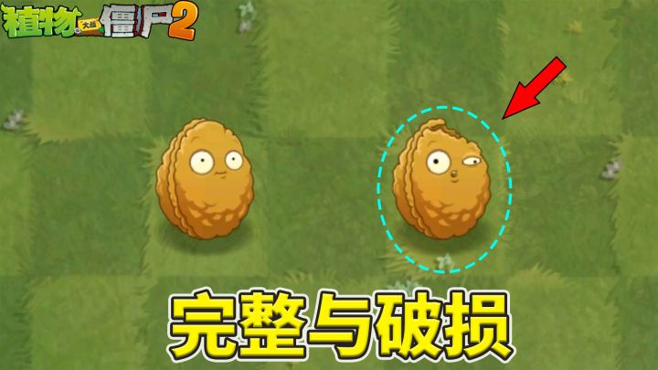 植物大战僵尸2:如何解除荆棘藤蔓的束缚?截图