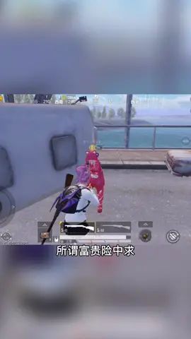 汪汪队出击#一恒 #吃鸡三十六计截图