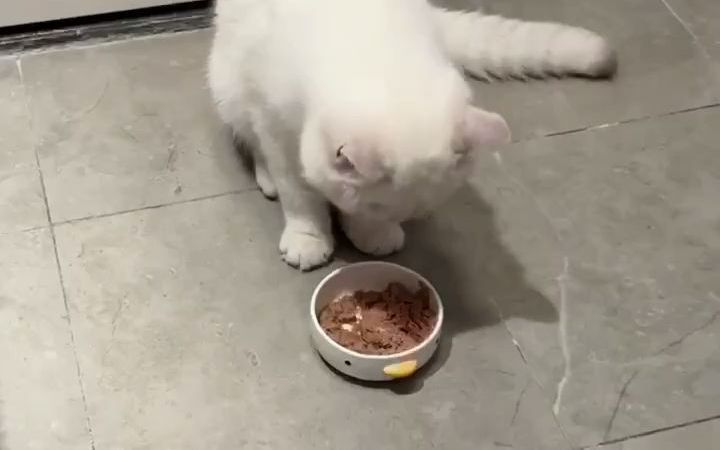 video-2913198