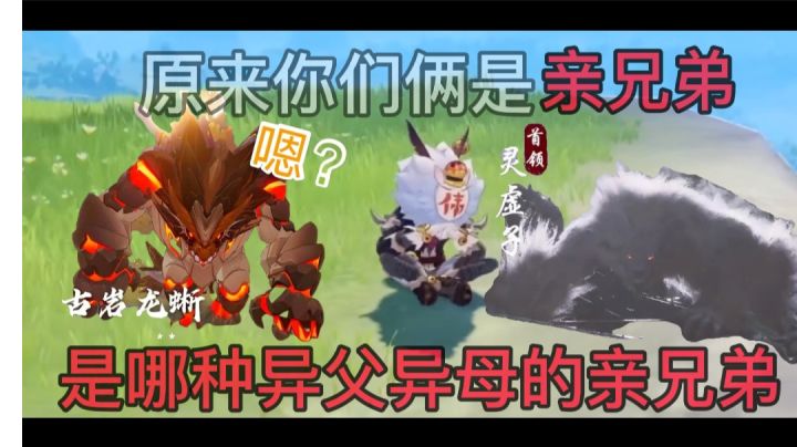 我找到了它的亲兄弟截图