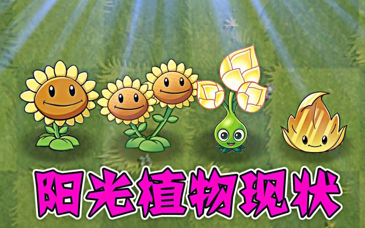 植物大战僵尸：阳光植物现状，谁最好用呢？截图