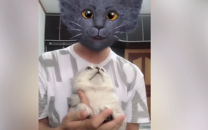 “ 震惊猫咪一百年 ”截图