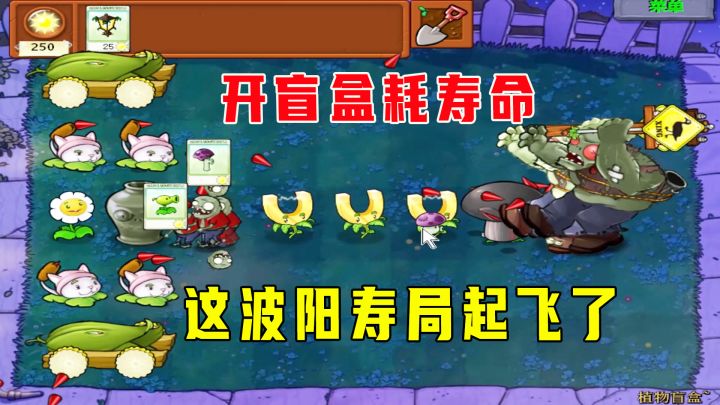 植物大战僵尸:植物盲盒(下),开盲盒耗寿命,这波阳寿局起飞了截图