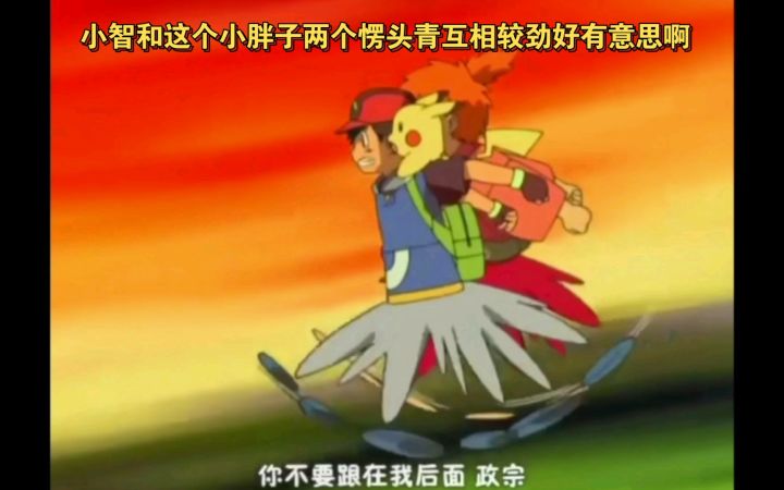 精灵宝可梦 小智和这个小胖子两个愣头青互相较劲 好有意思啊截图