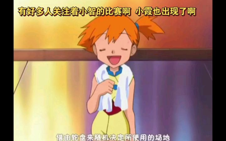 精灵宝可梦 有好多人关注着小智的比赛啊 小霞也出现了截图