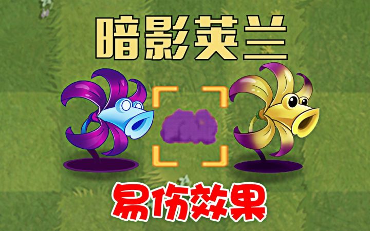 植物大战僵尸：专干坏事的暗影荚兰，怎么样？截图