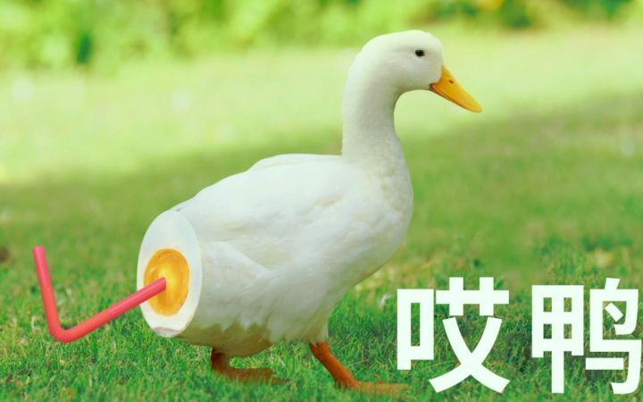 五芳斋沙雕广告，不愧是广告界的一股泥石流！截图