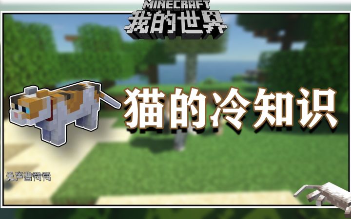 我的世界冷知识：黑猫的生成居然还和月亮有关截图