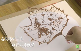 ☆非遗叶雕艺术家特别访谈☆
