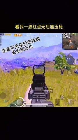 #和平精英 #游戏精彩时刻 #击杀集锦 这么稳的压枪你见过吗?截图