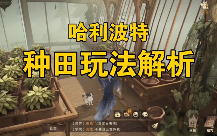 魔法种田，魔药种植，浇水施肥偷菜玩法一个都不能少！玩过这样的哈利波特魔法觉醒吗？截图