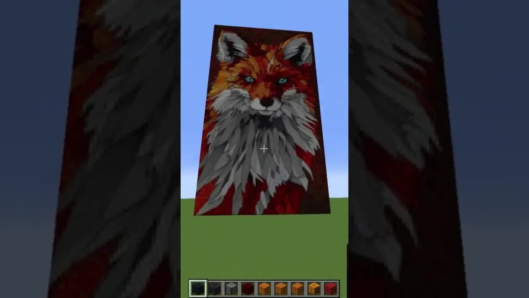 video-2822318