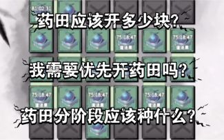【一念逍遥】药田应该开几块？分阶段应该种什么？