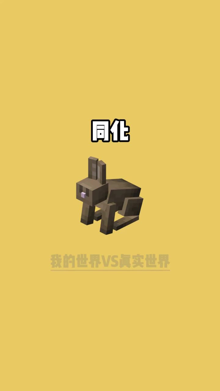 #我的世界vs现实世界 同化截图