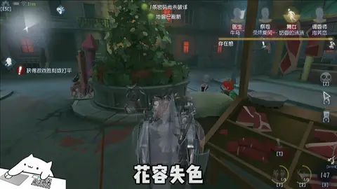 video-2137545