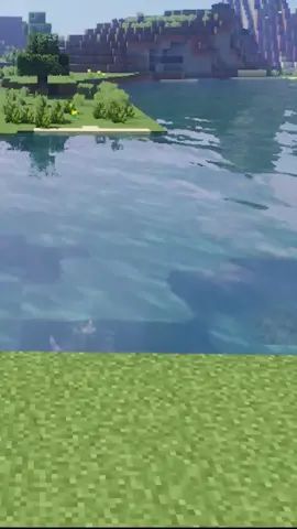 video-2132970