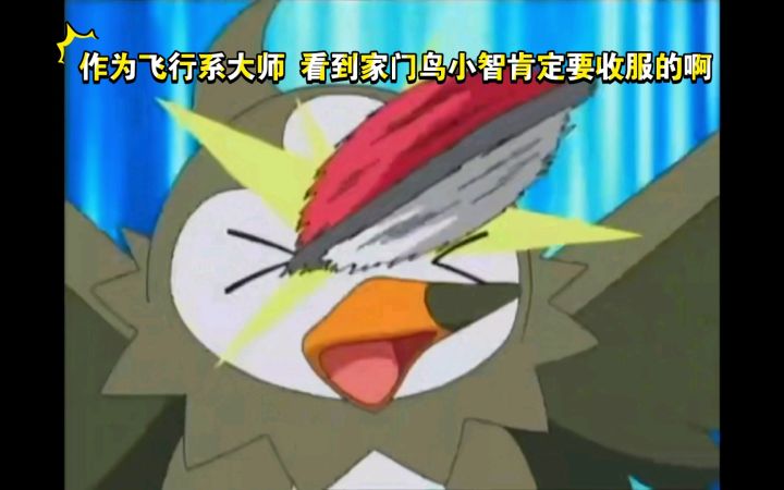 精灵宝可梦 作为飞行系大师 看到家门鸟小智肯定要收服的啊截图