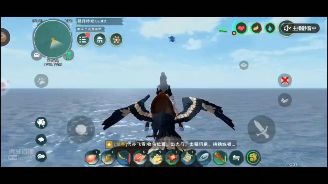 video-1337776