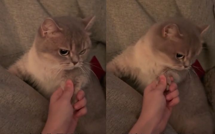 他们说,想刀一个人的眼神是藏不住的截图