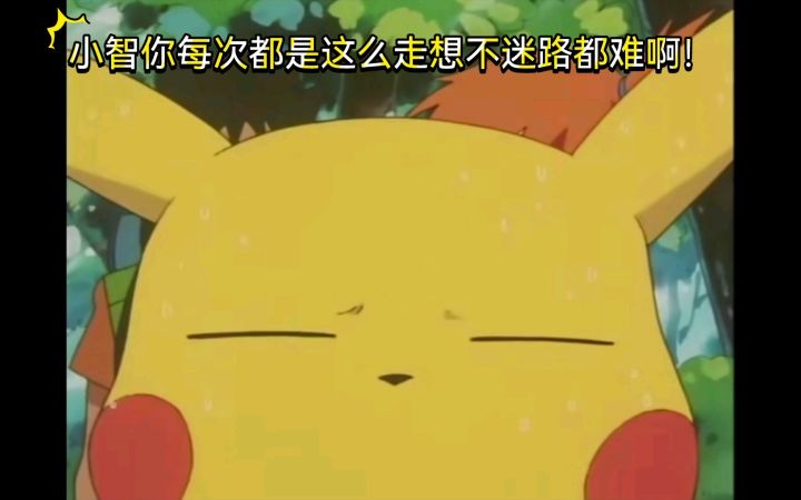 精灵宝可梦 小智你每次都是这么走想不迷路都难啊!截图