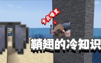 我的世界冷知识：鞘翅其实还能在水中翱翔，这些小知识你都知道吗