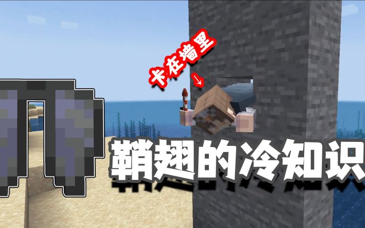 我的世界冷知识:鞘翅其实还能在水中翱翔,这些小知识你都知道吗截图