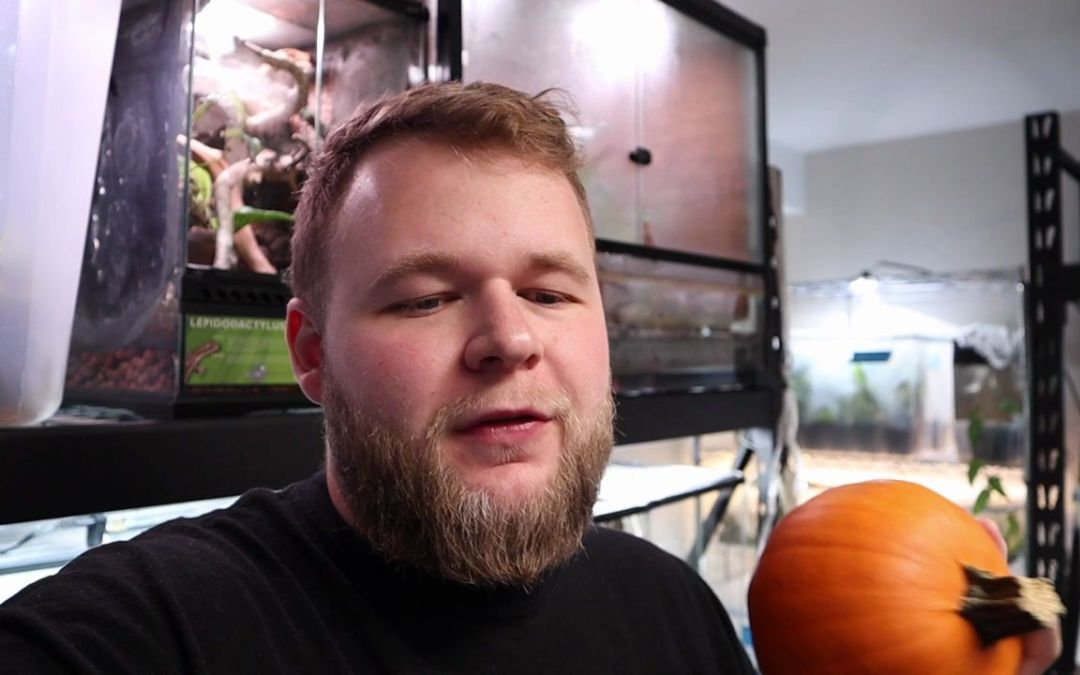 video-2933043