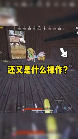 video-2133181