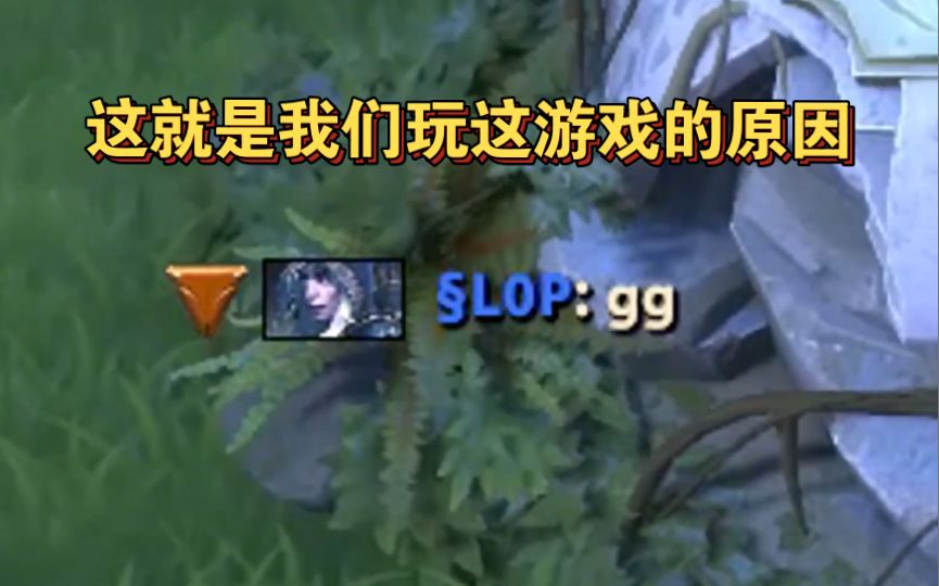 video-2900374