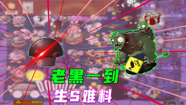 植物大战僵尸：运气不够战术来凑，一个老黑轻松拿下全场截图