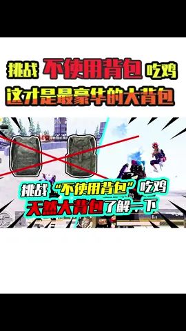 老阿姨:全地图最大的背包见过没?物资要啥来啥!#吃鸡 #和平精英 #搞笑视频截图