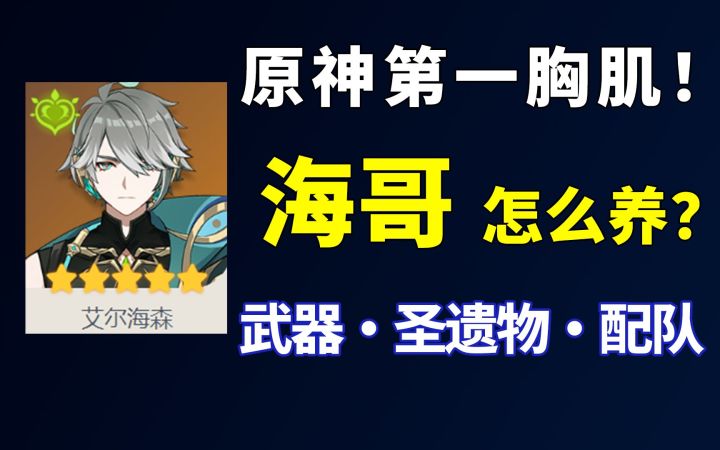 艾尔海森怎么养?原神首个文弱的学术分子!武器·圣遗物·配队 平民攻略截图