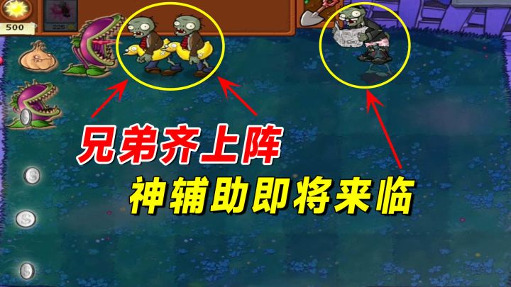 植物大战僵尸：兄弟小黄鸭齐上阵，神辅助一战封神截图