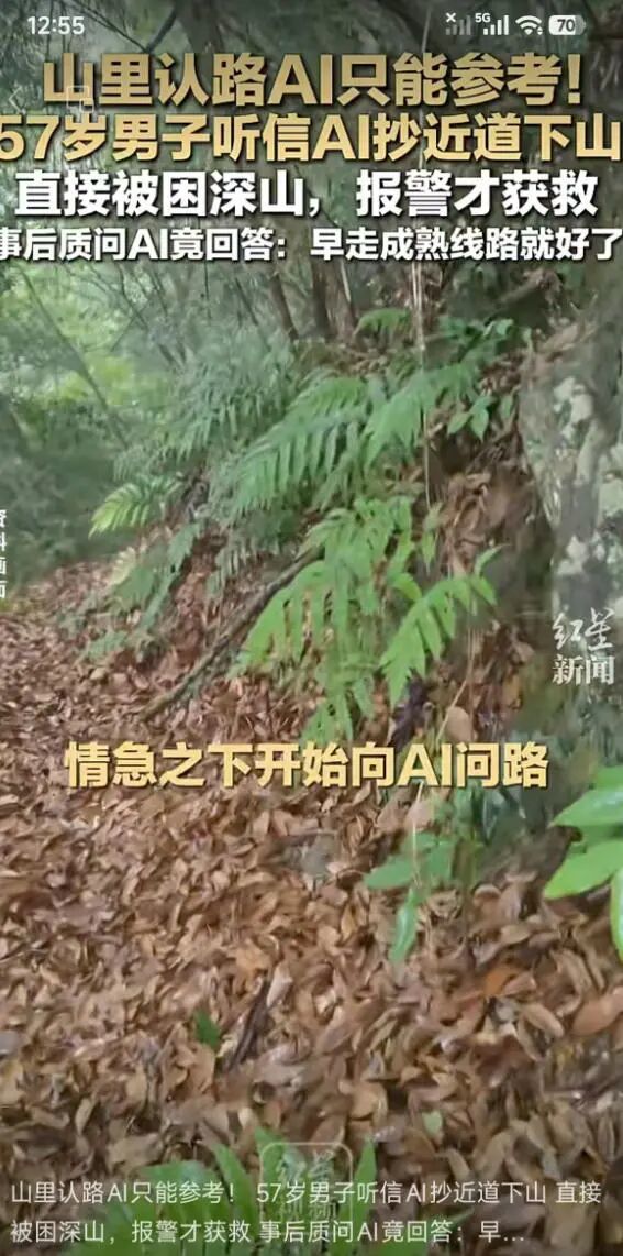 有多少人在看过豆包瞎打游戏后,爱上了包姐?截图