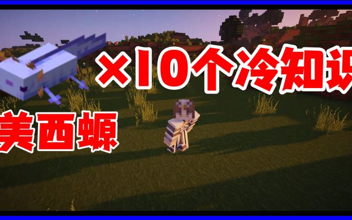 我的世界冷知识:关于美西螈10个你不一定知道的冷知识截图