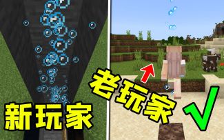 我的世界：专业玩家才知道的，5个简单技巧！