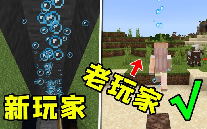 我的世界:专业玩家才知道的,5个简单技巧!截图