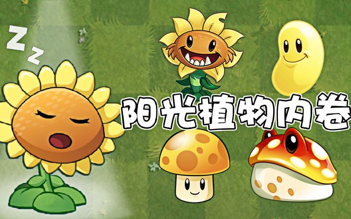 植物大战僵尸:阳光植物内卷,你更支持谁?截图