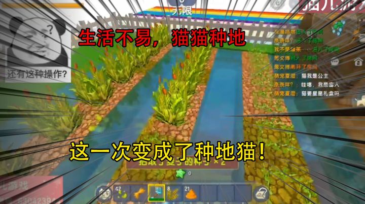 迷你世界:生活不易,猫猫种地,这一次变成了种地猫!截图
