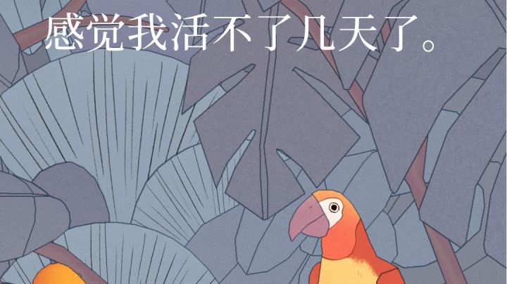 我和阿笨曾经存在过的证据截图