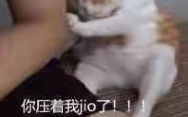 空牙团v武少女截图