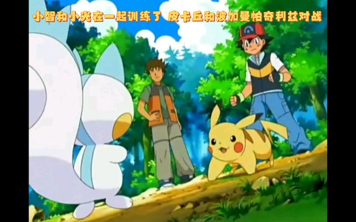 精灵宝可梦 小智和小光在一起训练了 皮卡丘和波加曼帕奇利兹对战截图