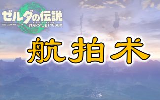 【塞尔达】航拍术超简单教程【王国之泪 | BreNeko | 转载】